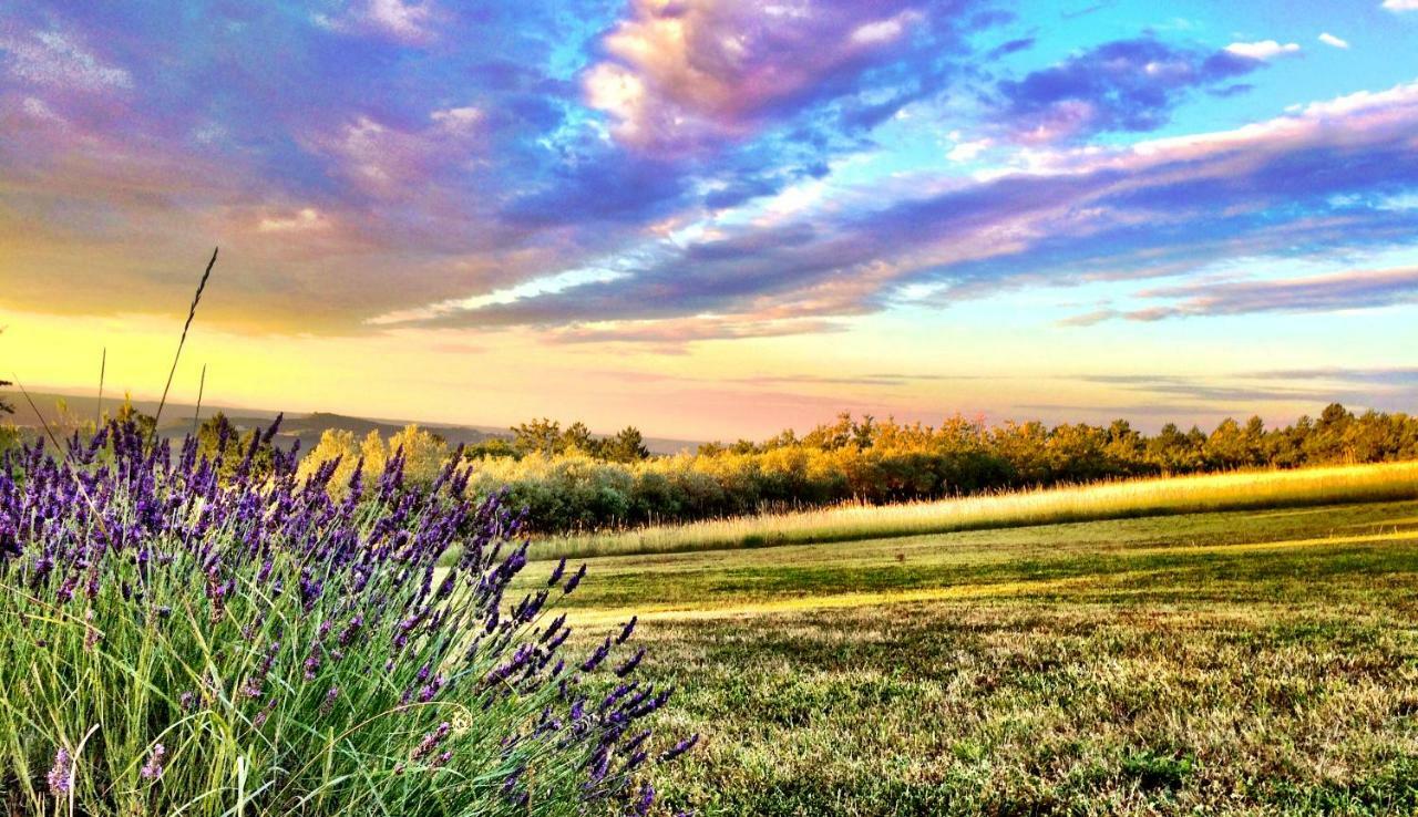 La Colle En Provence Main House Villa Sigonce Екстериор снимка