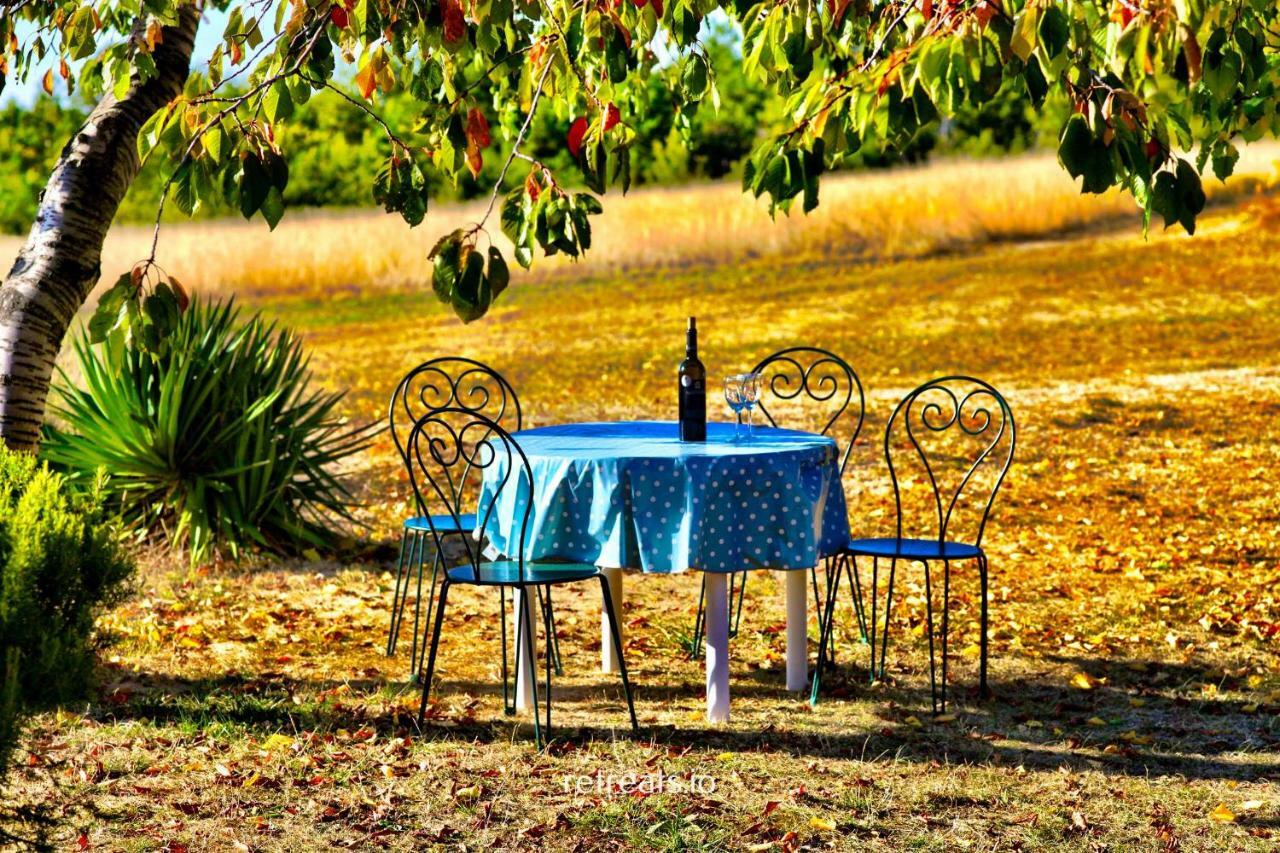 La Colle En Provence Main House Villa Sigonce Екстериор снимка